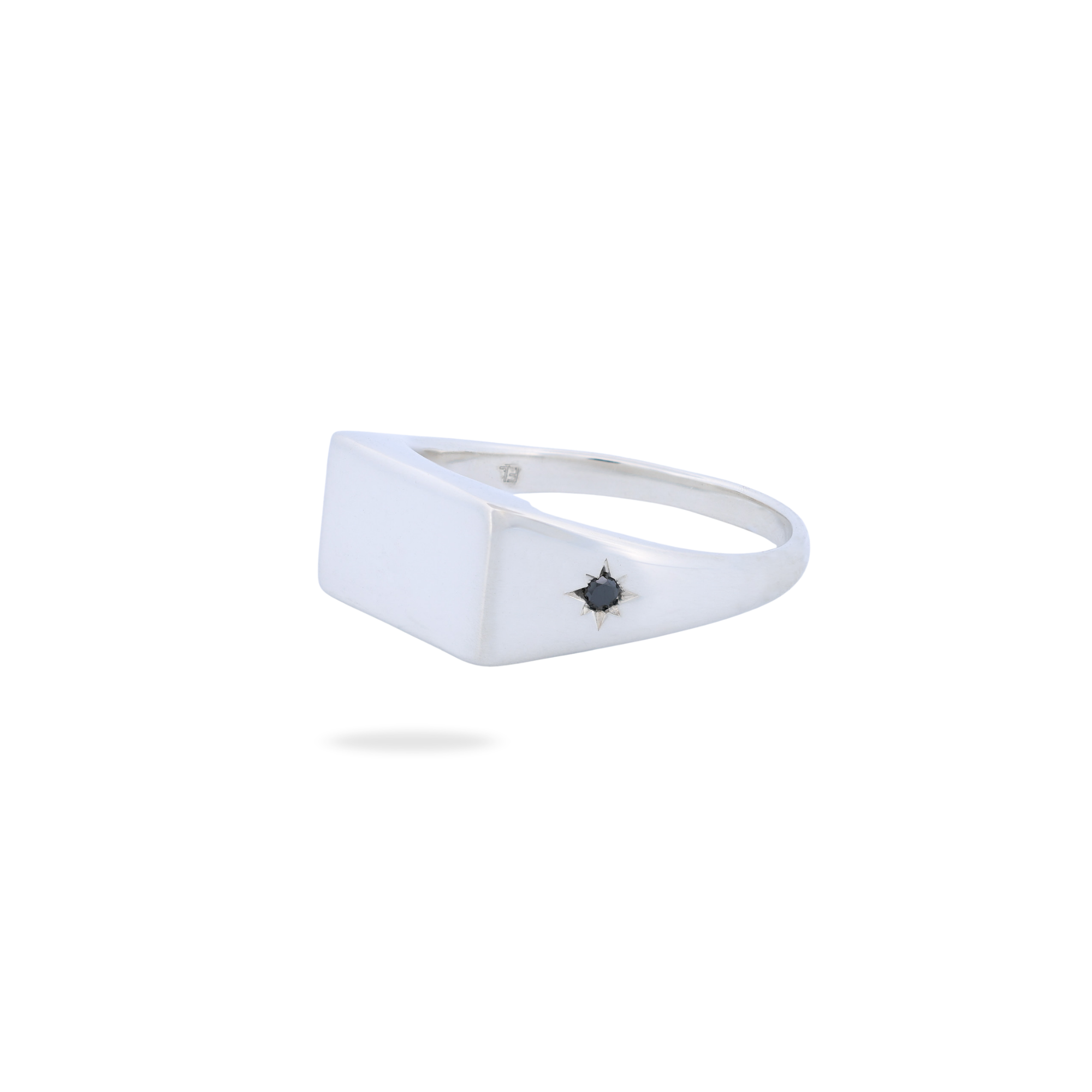 Grande Rectangle Signet Ring - Star Set (S)