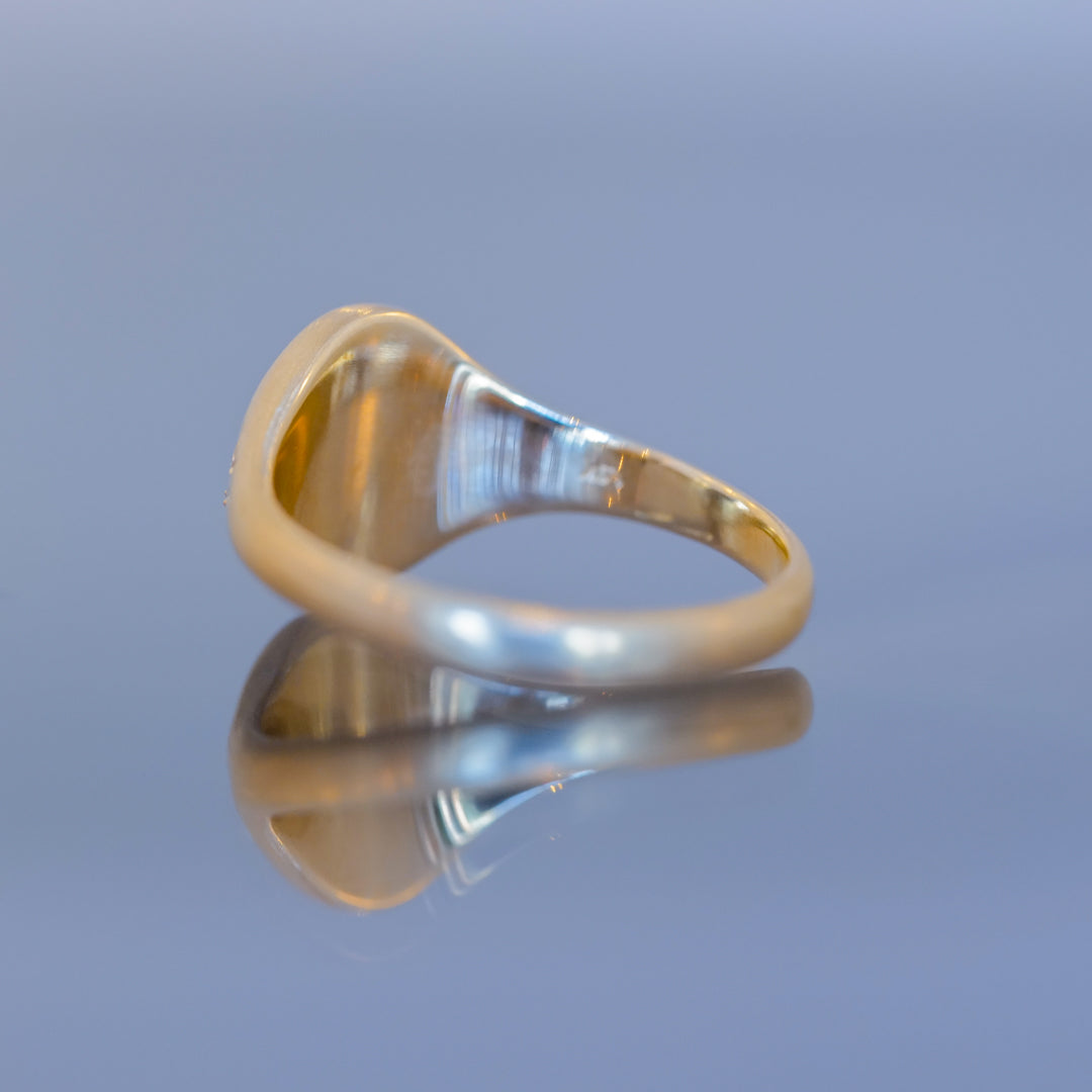 The Blue Blue Driver Scorpion Signet Ring - Diamond features a smooth 14k gold band against a soft blue backdrop.