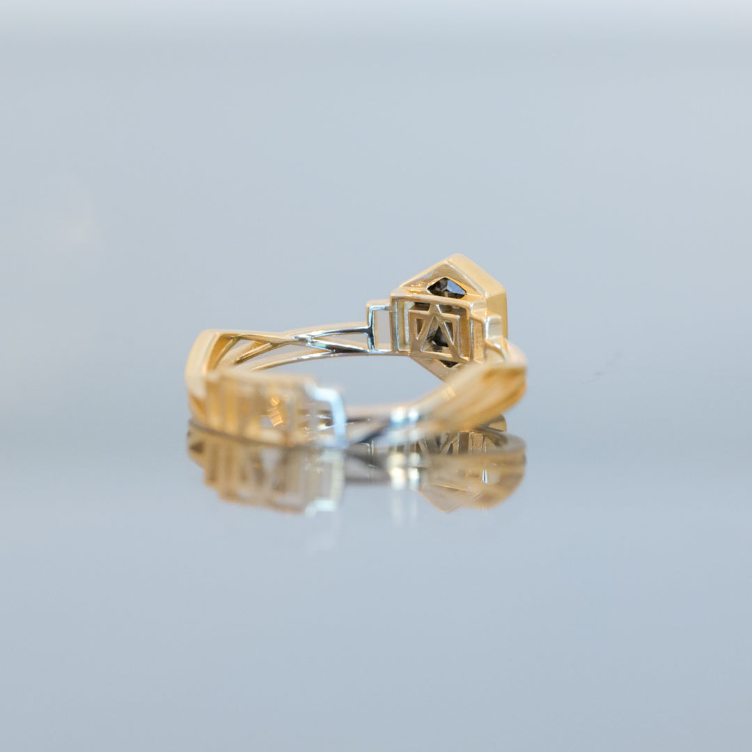 Dame Bloodgood Ring - Salt & Pepper Hexagon (1.25ct)