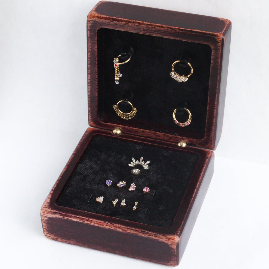 Body jewelry outlets case