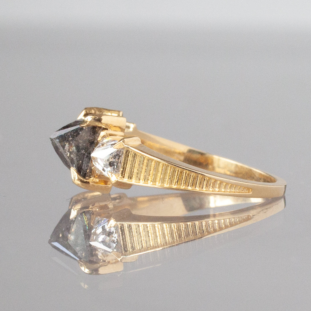 Classic Temple Ring - Salt & Pepper Princess Diamond