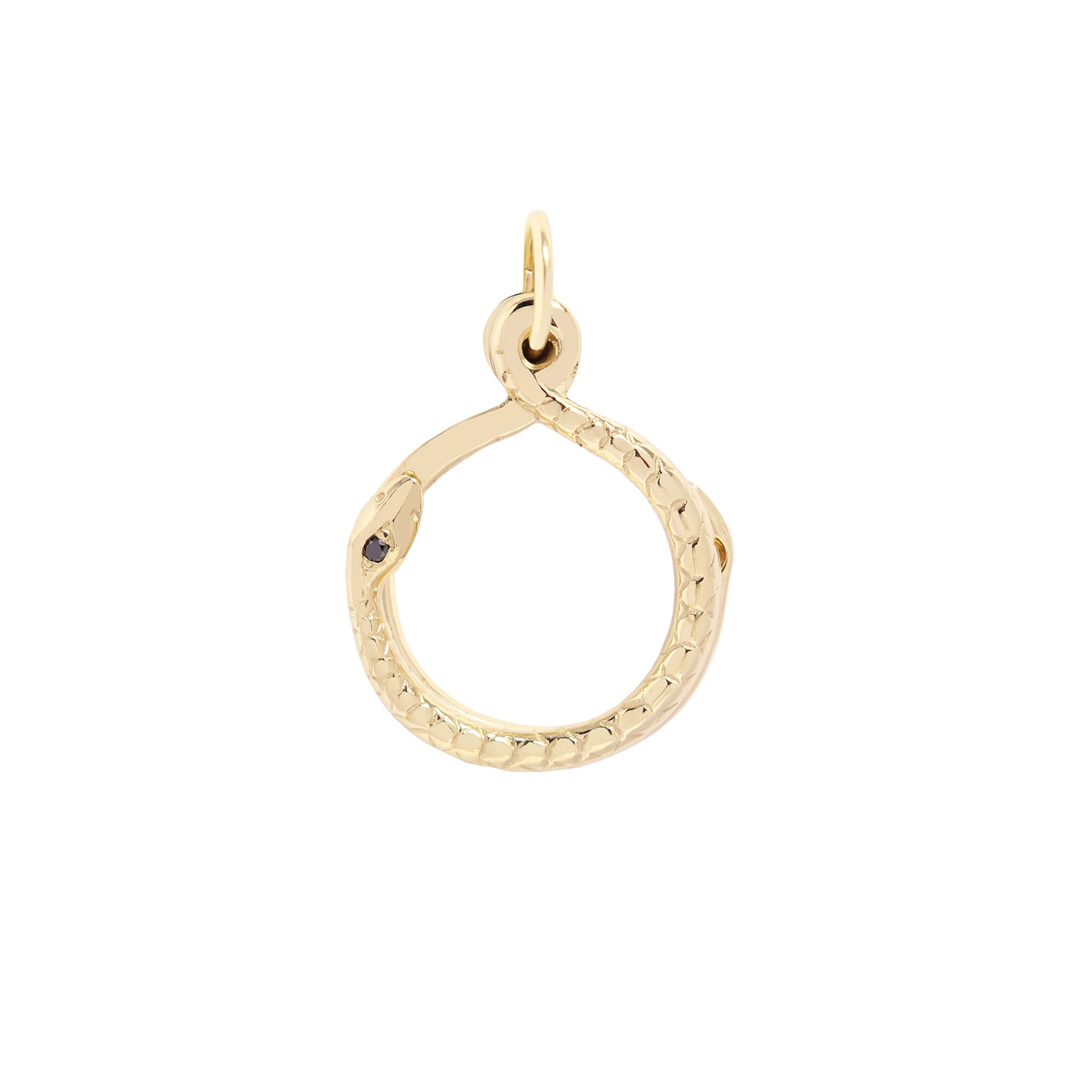 Snake Clasp Charm