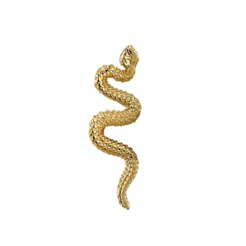 Delicate Snake