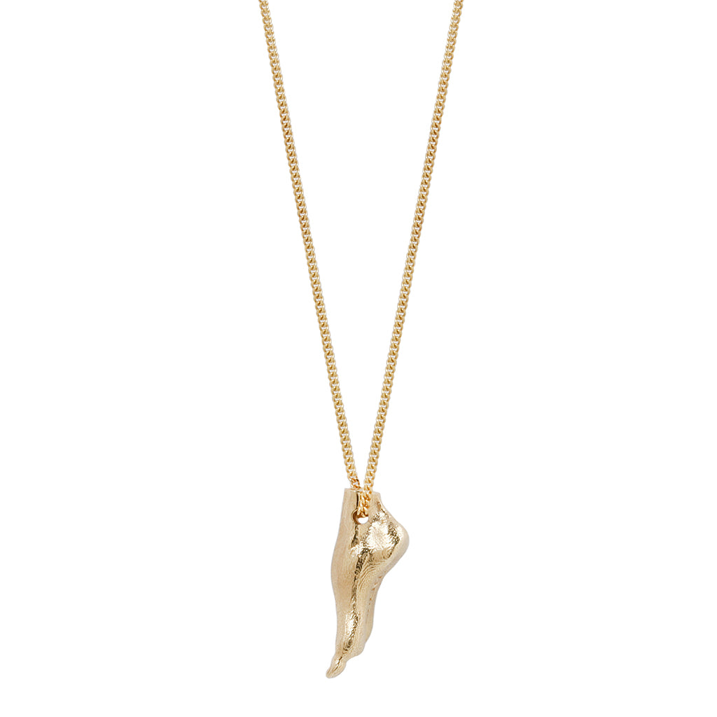 Articulated Retinaculate Charm