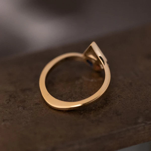 Providential Panopticon Ring