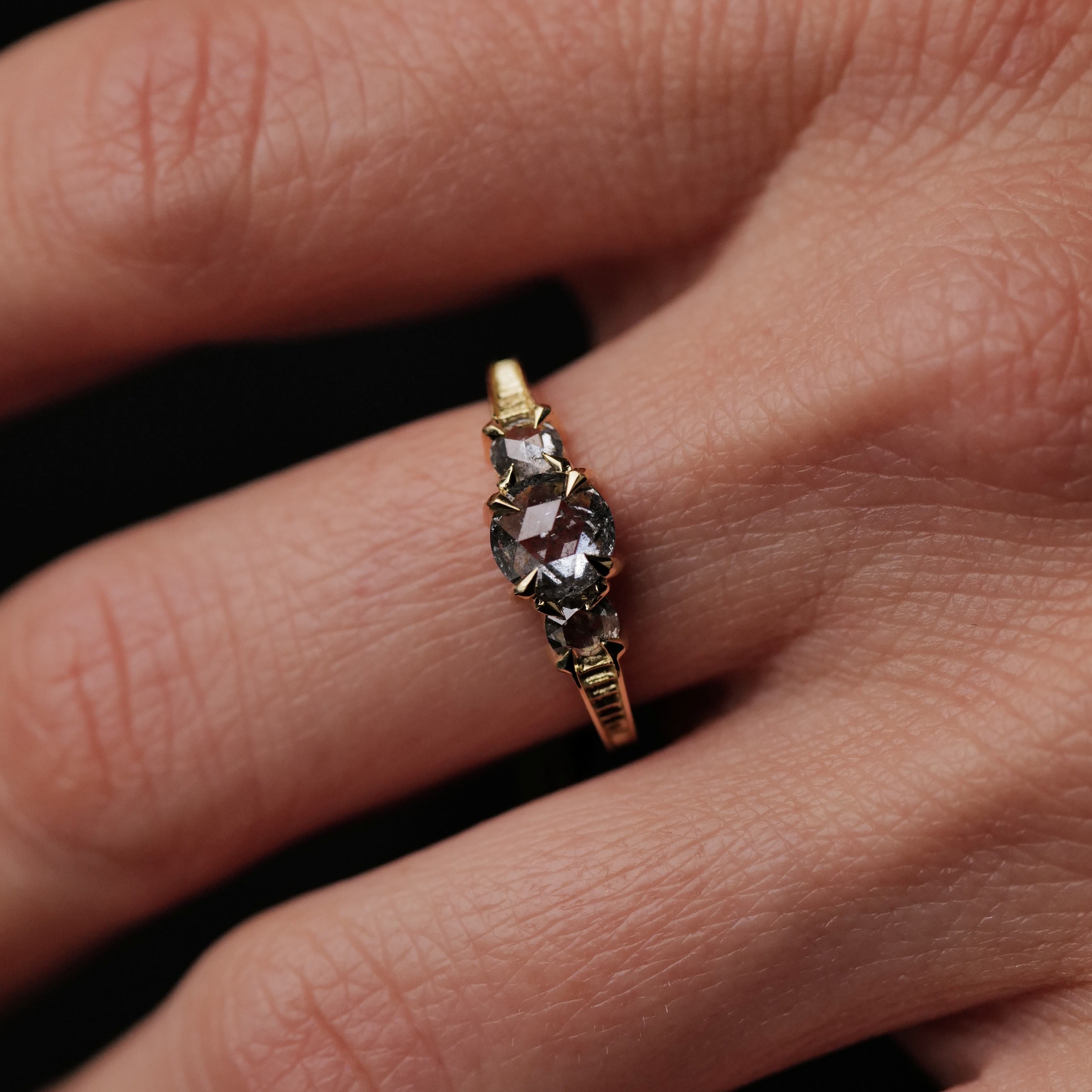 The Fiat Lux Classic 3 Stone Temple Ring with 0.86ct salt & pepper diamonds shines against a dark background.