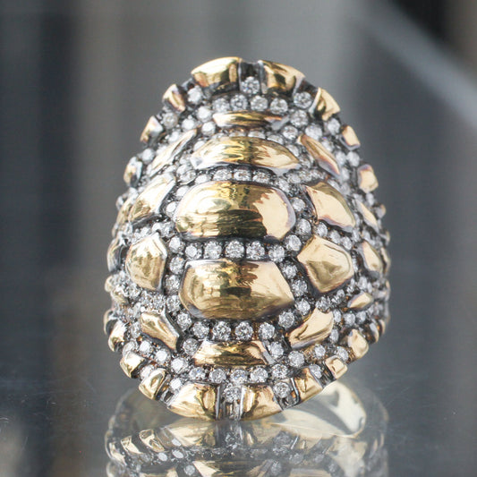 Madagascar Tortoise Shell