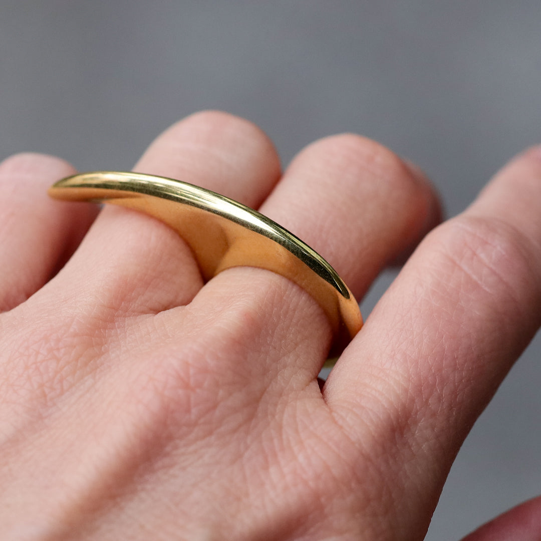 Bronze Slice Ring