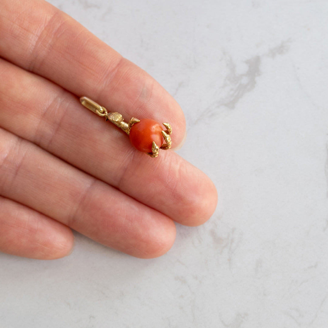 Antique Eagle Claw & Coral Pendant