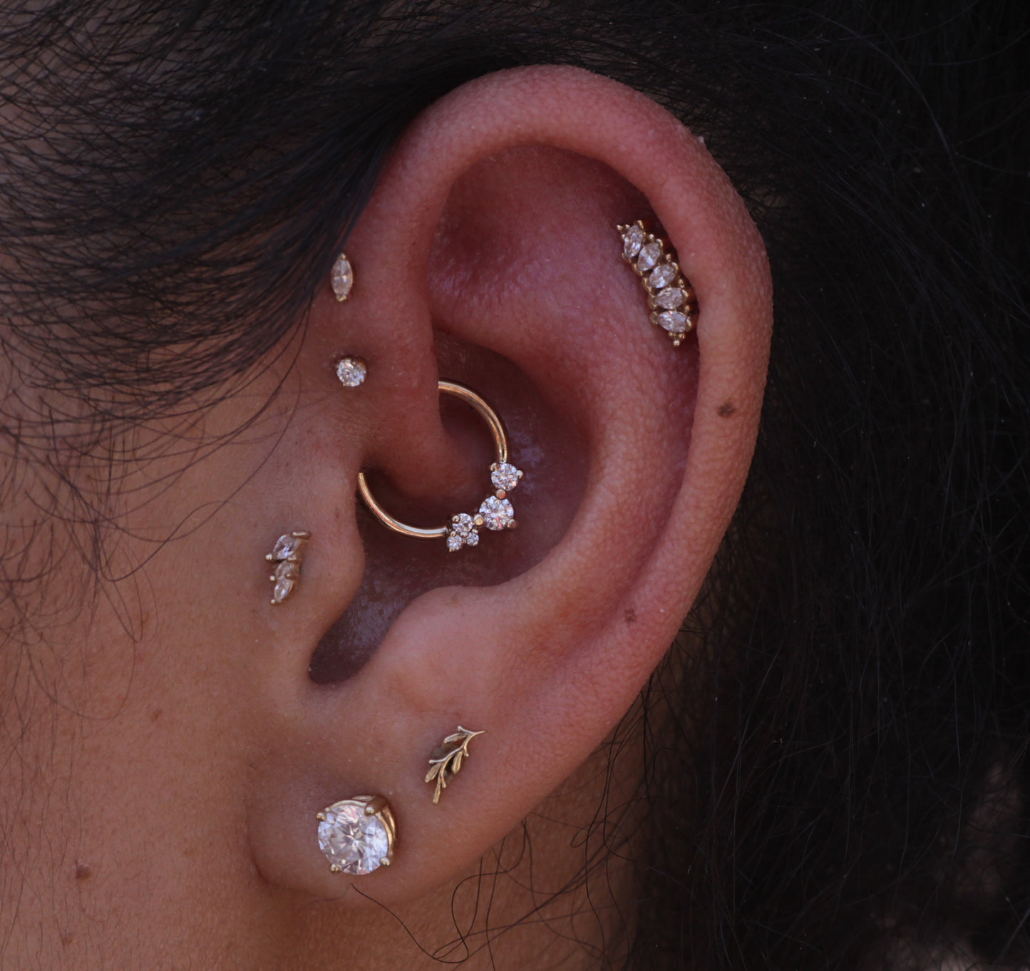 Bvla daith deals piercing
