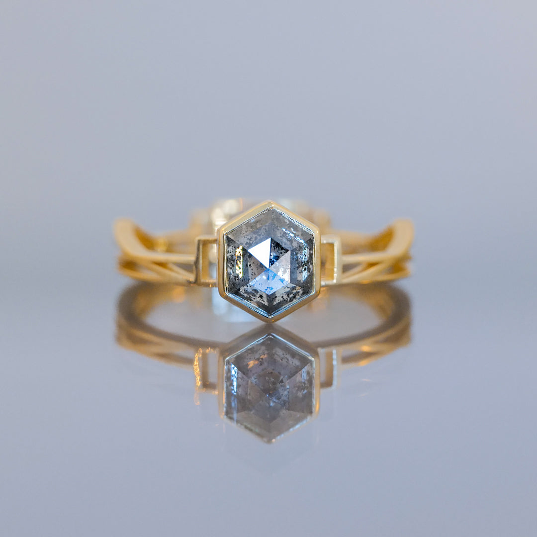 Dame Bloodgood Ring - Salt & Pepper Hexagon (1.25ct)