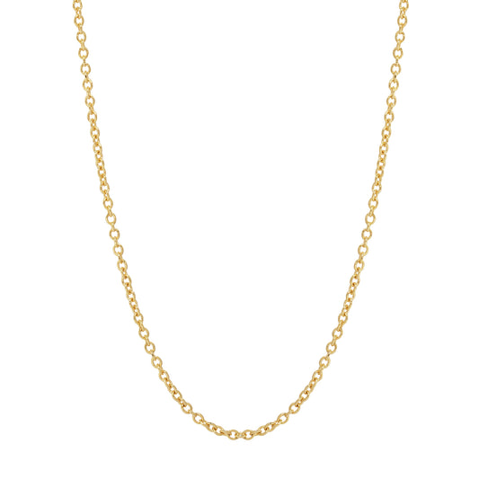 Gold Clasped Rolo Chain Necklace