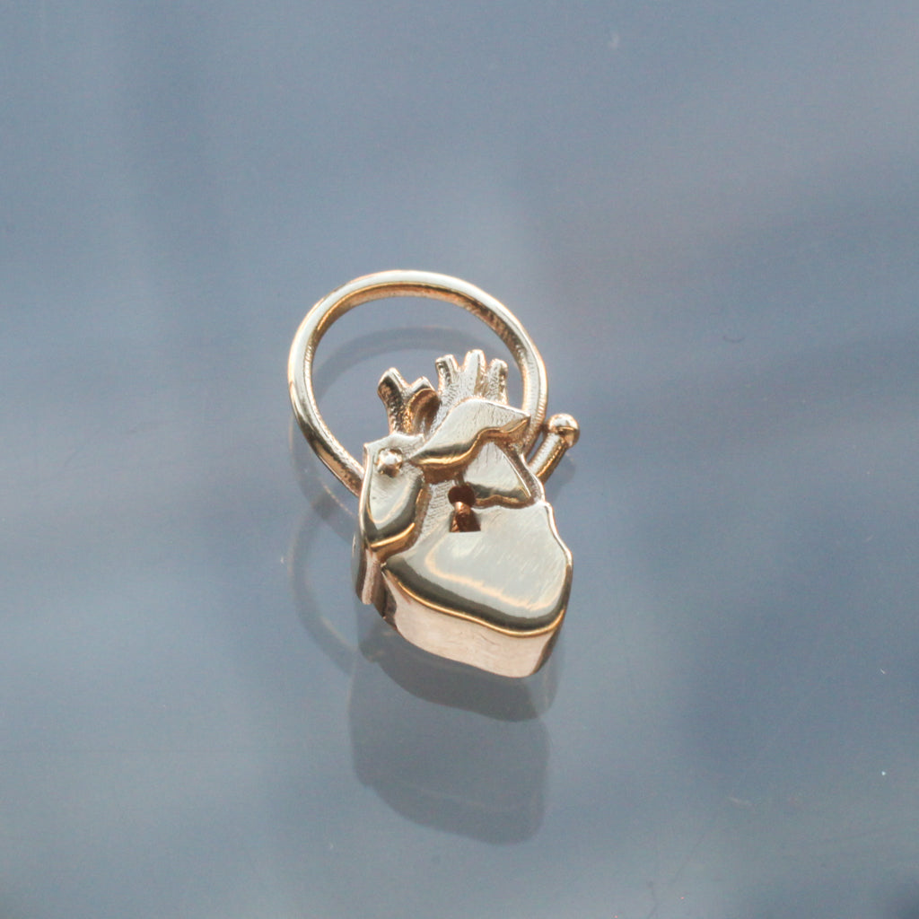 Anatomical Heart Lock Charm