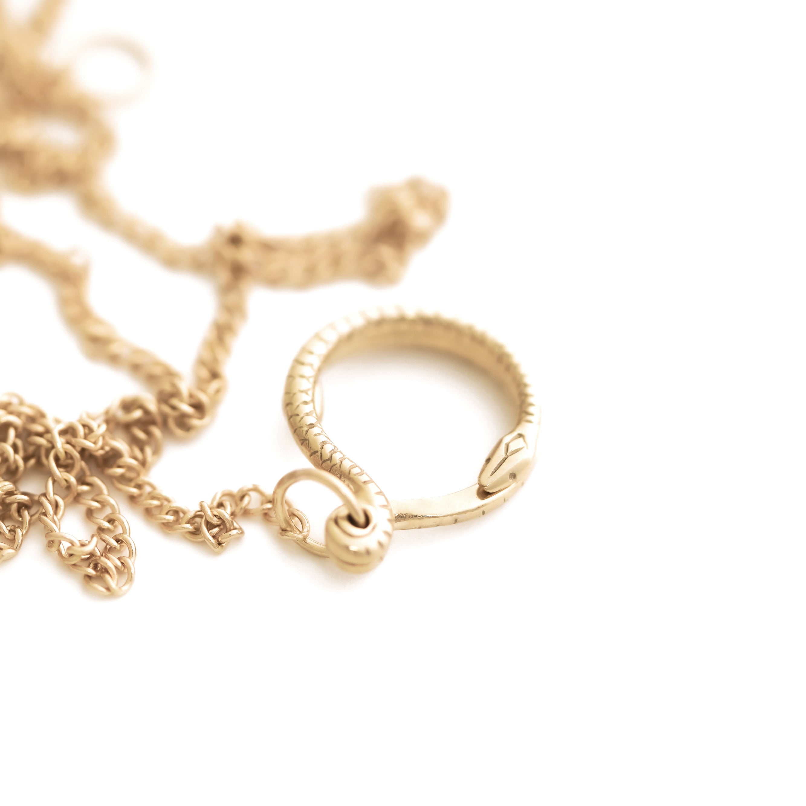 Snake Clasp Charm