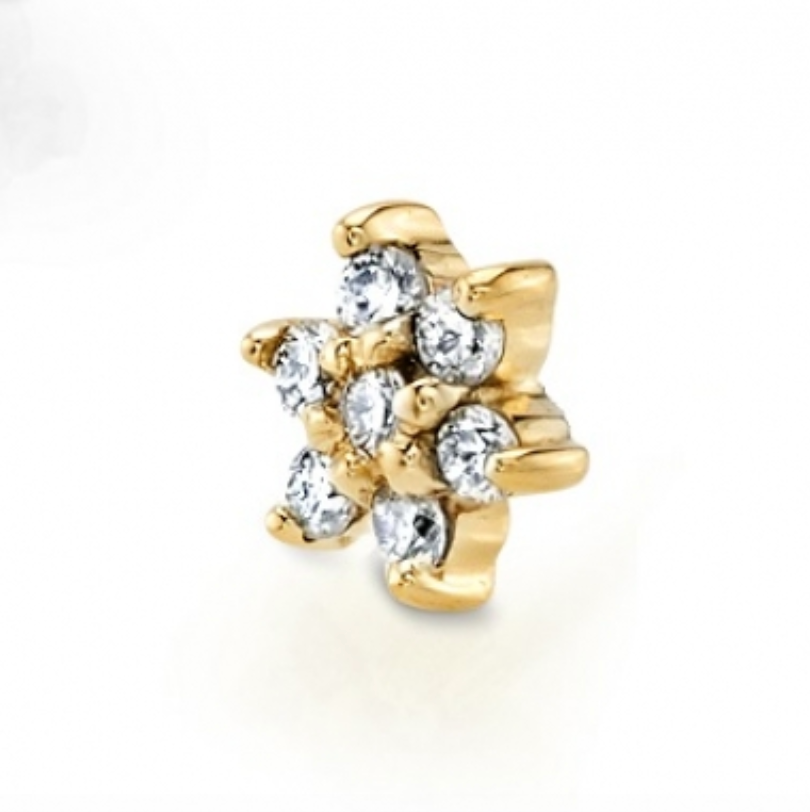 Flower 2