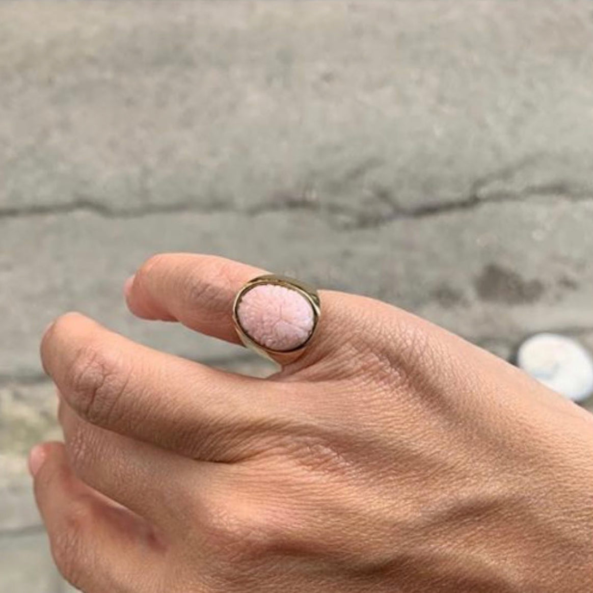 Brain Ring